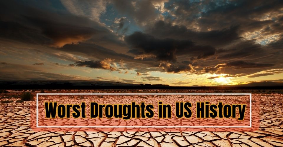 Worst Droughts in US History: What We Can Learn from Them? [List]